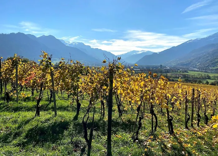 Fromm's Nyaraló Malans